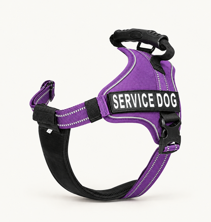 Guardian Glow Harness