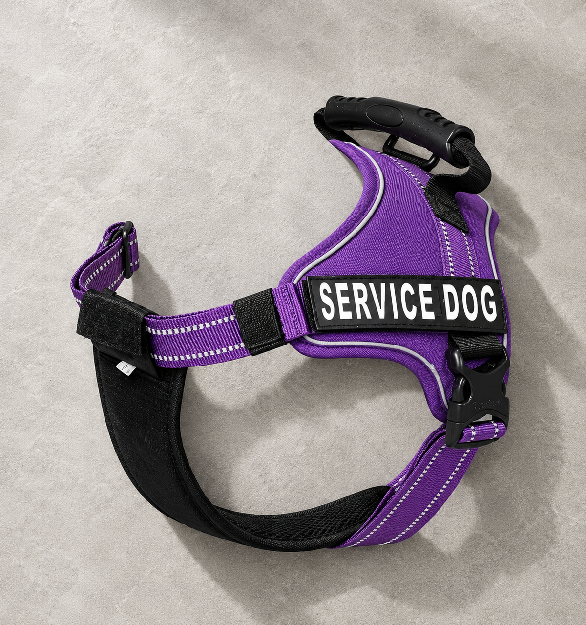 Guardian Glow Harness