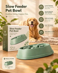Slow Feeder Bowl for Dogs & Cats – Maze Design, Non-Slip