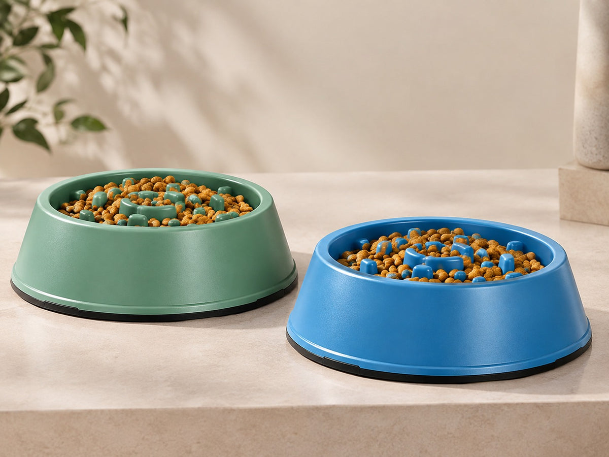 Slow feeder pet bowl with raised maze pattern